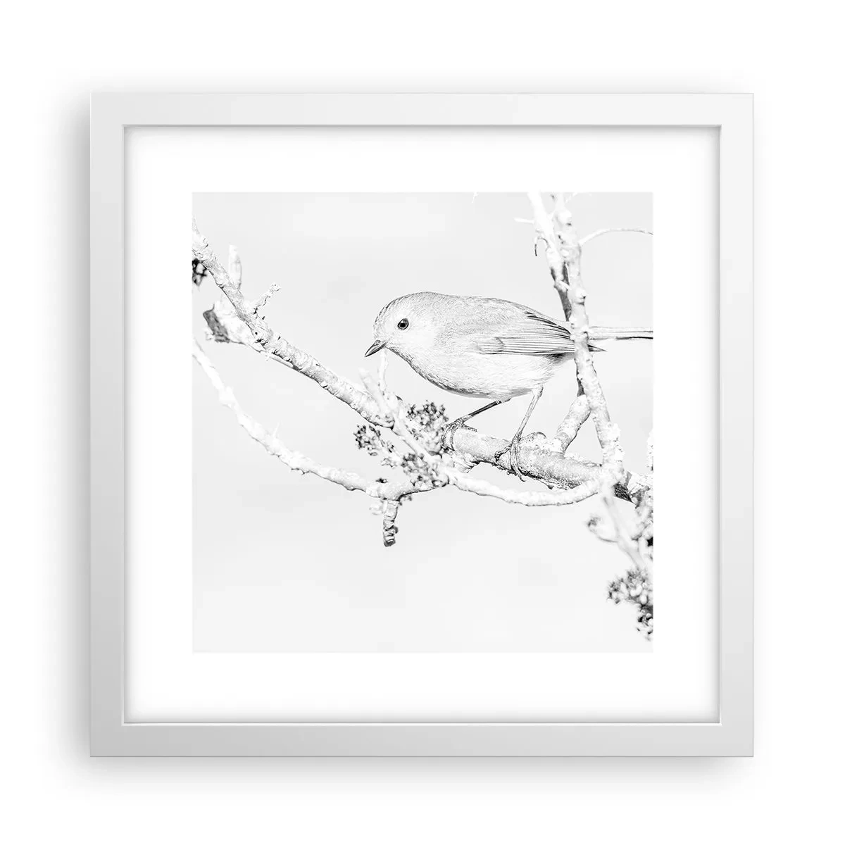 Poster in white frmae - Winter Morning - 30x30 cm