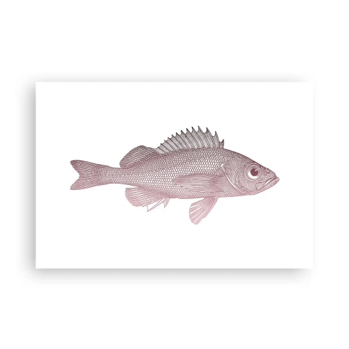 Poster - Big-eyed Fish - 91x61 cm