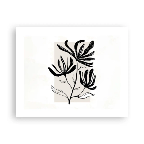 Poster - Sketch for a Herbarium - 50x40 cm