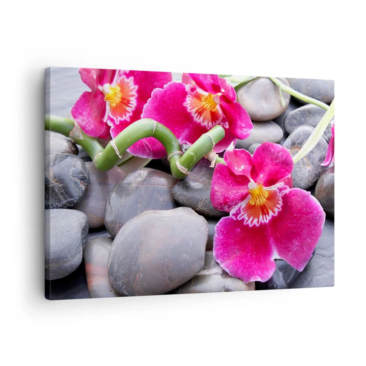 Canvas picture - Pink orchids against a background of smooth stones - 70x50cm - Coolness and Heat - Modern wall decoration for the living room and bedroom ARTTOR
