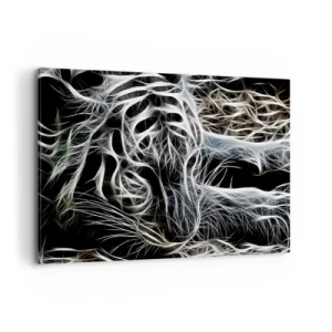 Canvas picture - Study in Lightness of Cats - 100x70 cm