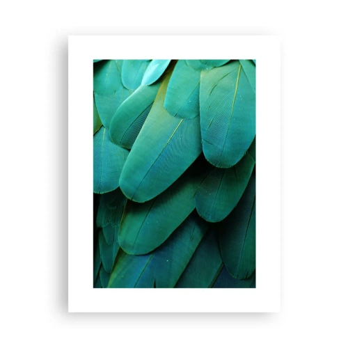 Poster - Precision of Parrot Nature - 30x40 cm