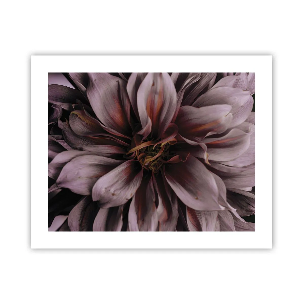 Poster - Flowery Heart - 50x40 cm