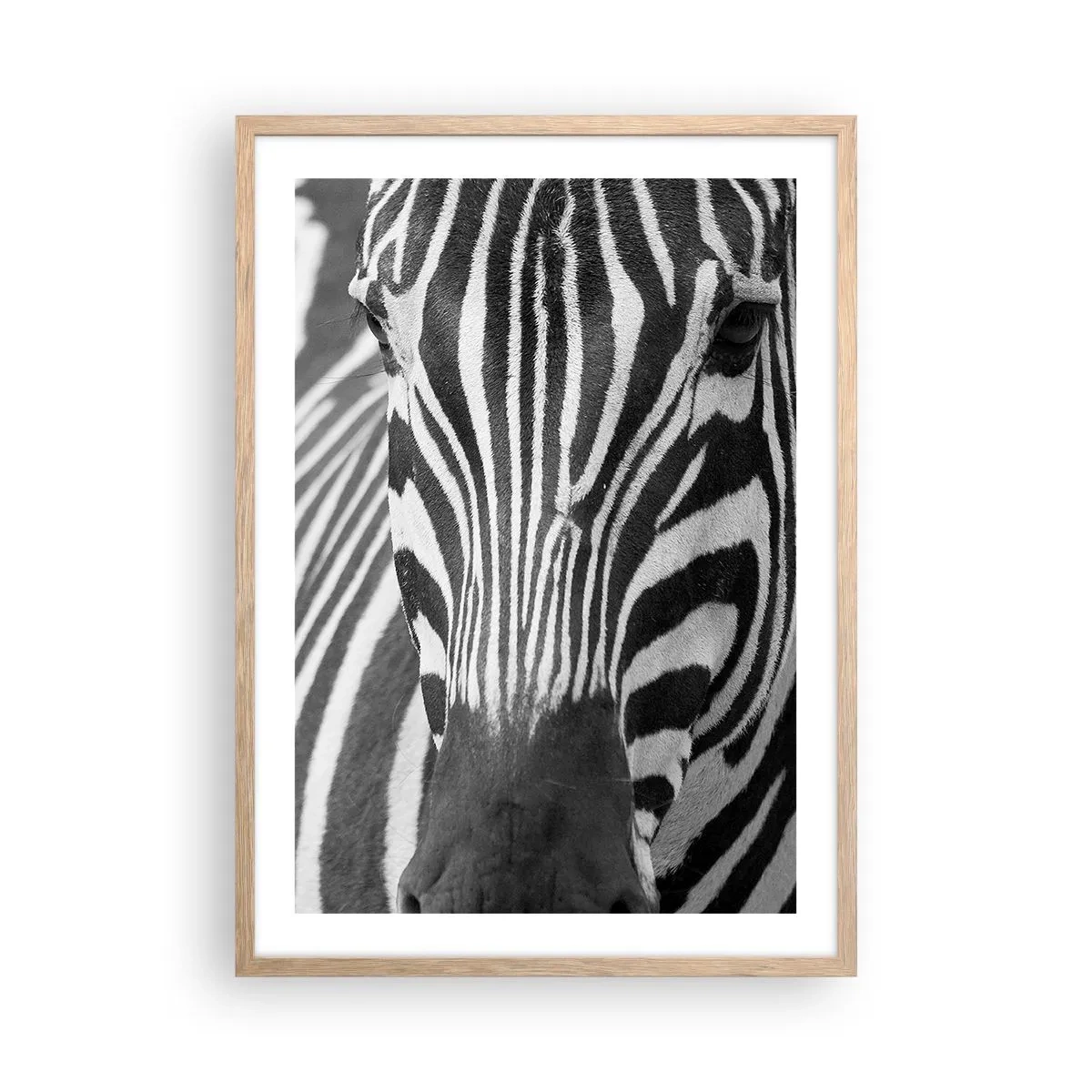 Poster in light oak frame - World Is Black and White - 50x70 cm