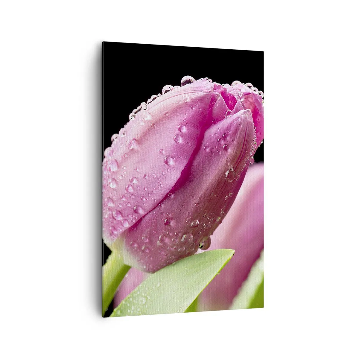 Canvas picture - Lilac Dream in a Dew - 80x120 cm
