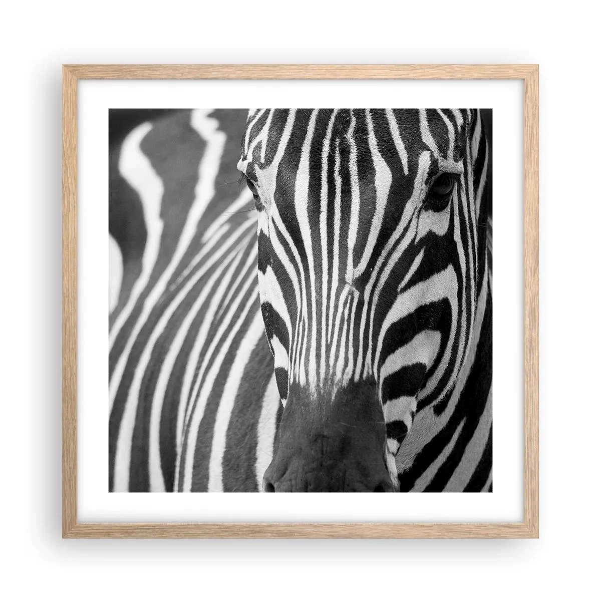 Poster in light oak frame - World Is Black and White - 50x50 cm