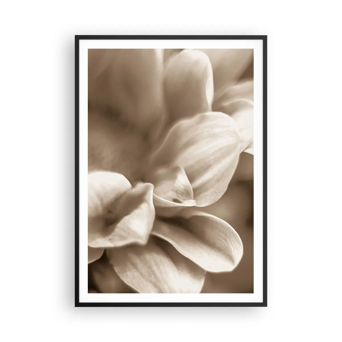 Poster in black frame - Soft as a Smile - 70x100 cm