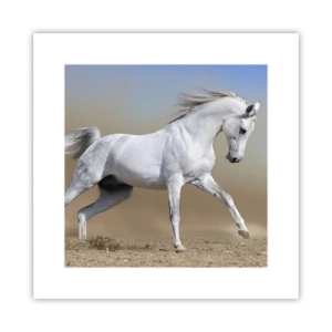 Poster - The Most Beautiful Arabic Tale - 30x30 cm