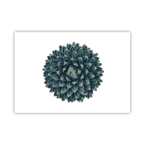 Poster - Star of the Desert - 100x70 cm
