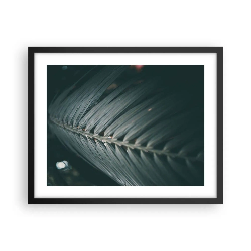 Poster in black frame - Precision of Nature - 50x40 cm