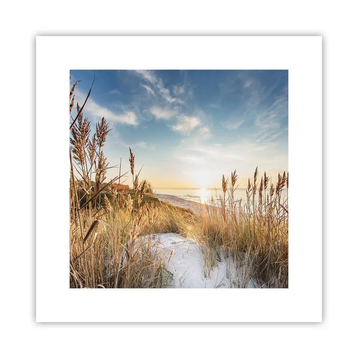Poster - Northern Beach - 30x30 cm