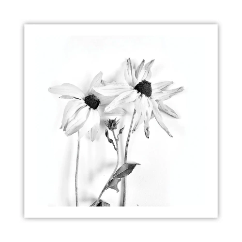 Poster - No one Wants To Be Alone - 60x60 cm