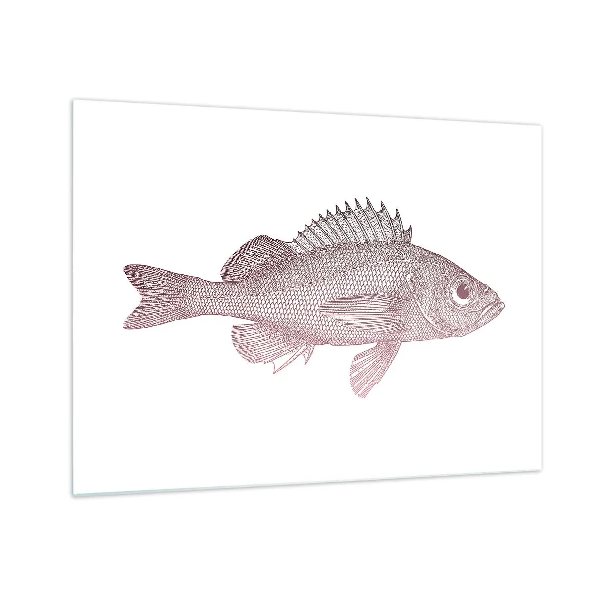 Glass picture - Graphic of a fish with a large eye in a retro style on a white background - 70x50cm - Big-eyed Fish - Modern wall decoration for the living room and bedroom ARTTOR