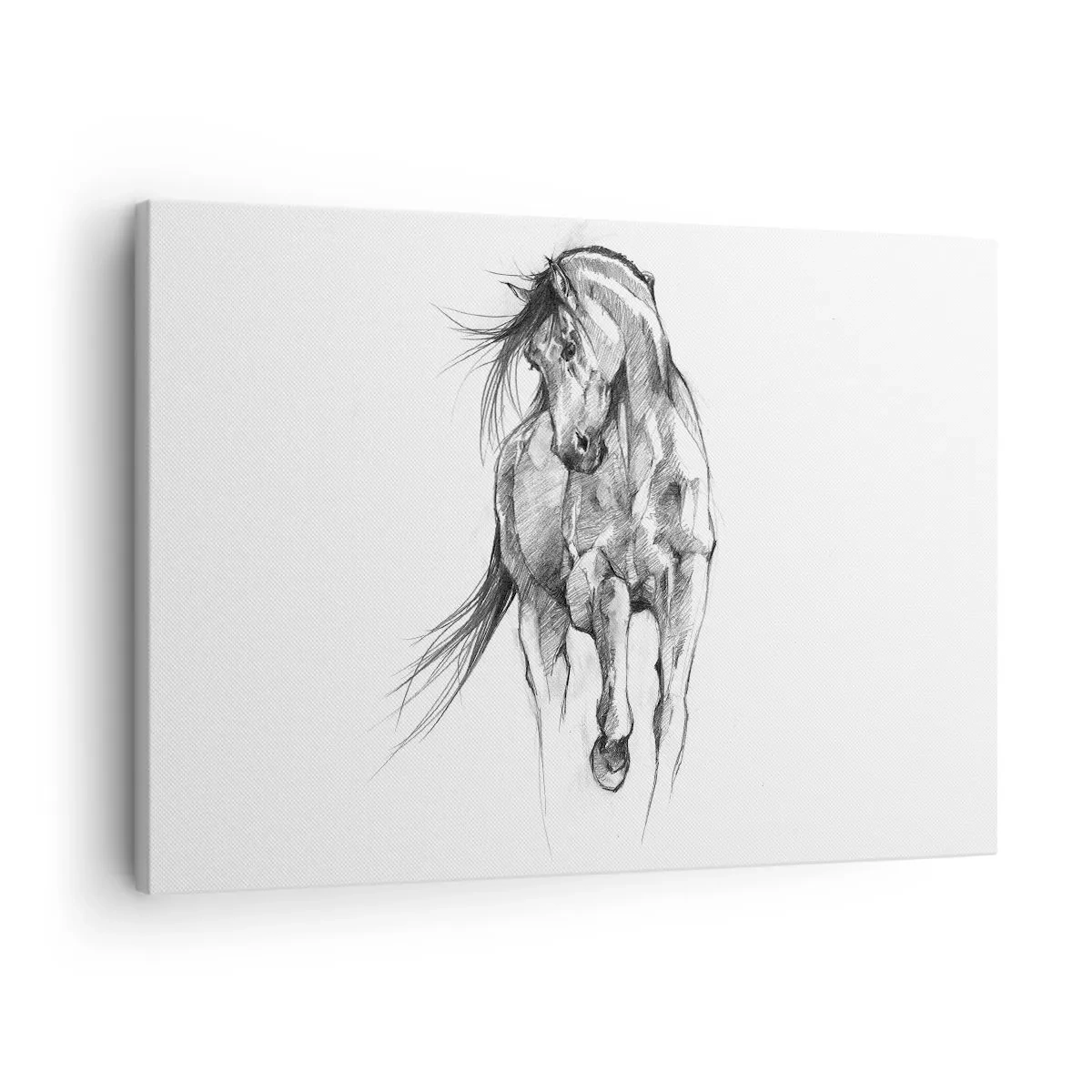 Canvas picture - Black and white sketch of a galloping horse - 70x50cm - In a Graceful Trot - Modern wall decoration for the living room and bedroom ARTTOR