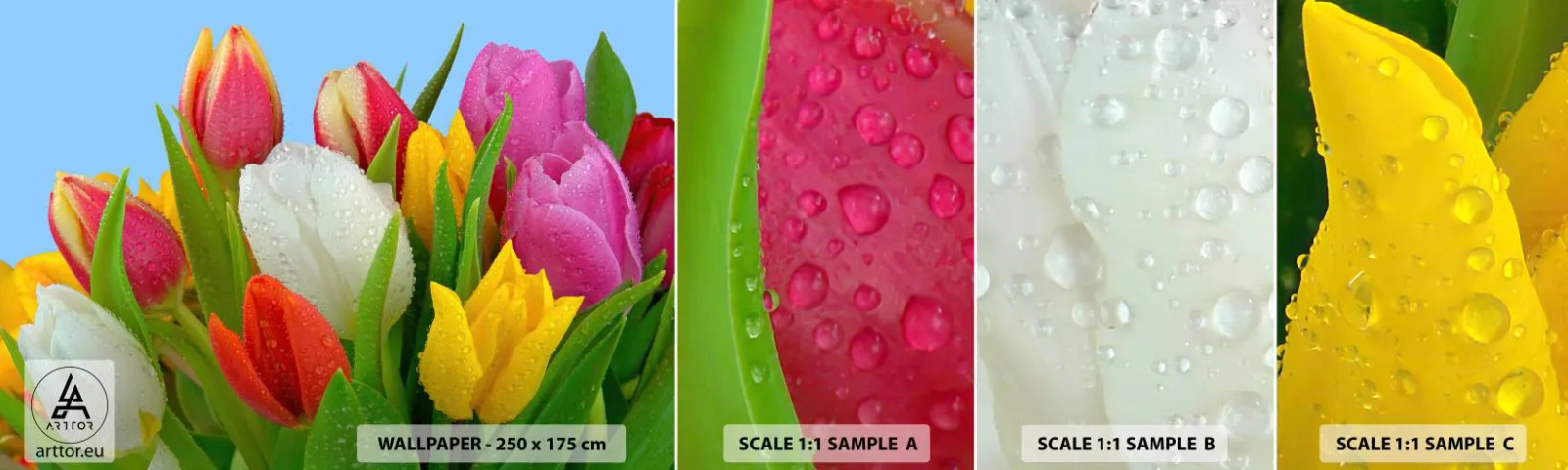 Photo Wallpaper Sample Self-Adhesive Deluxe Sticker - Floral Rainbow in Dew Drops - Tulips, Flowers, Bouquet of flowers - 100x30 cm