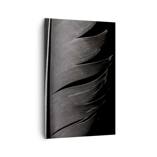 Canvas picture - Feather - Wonderful Constract - 80x120 cm