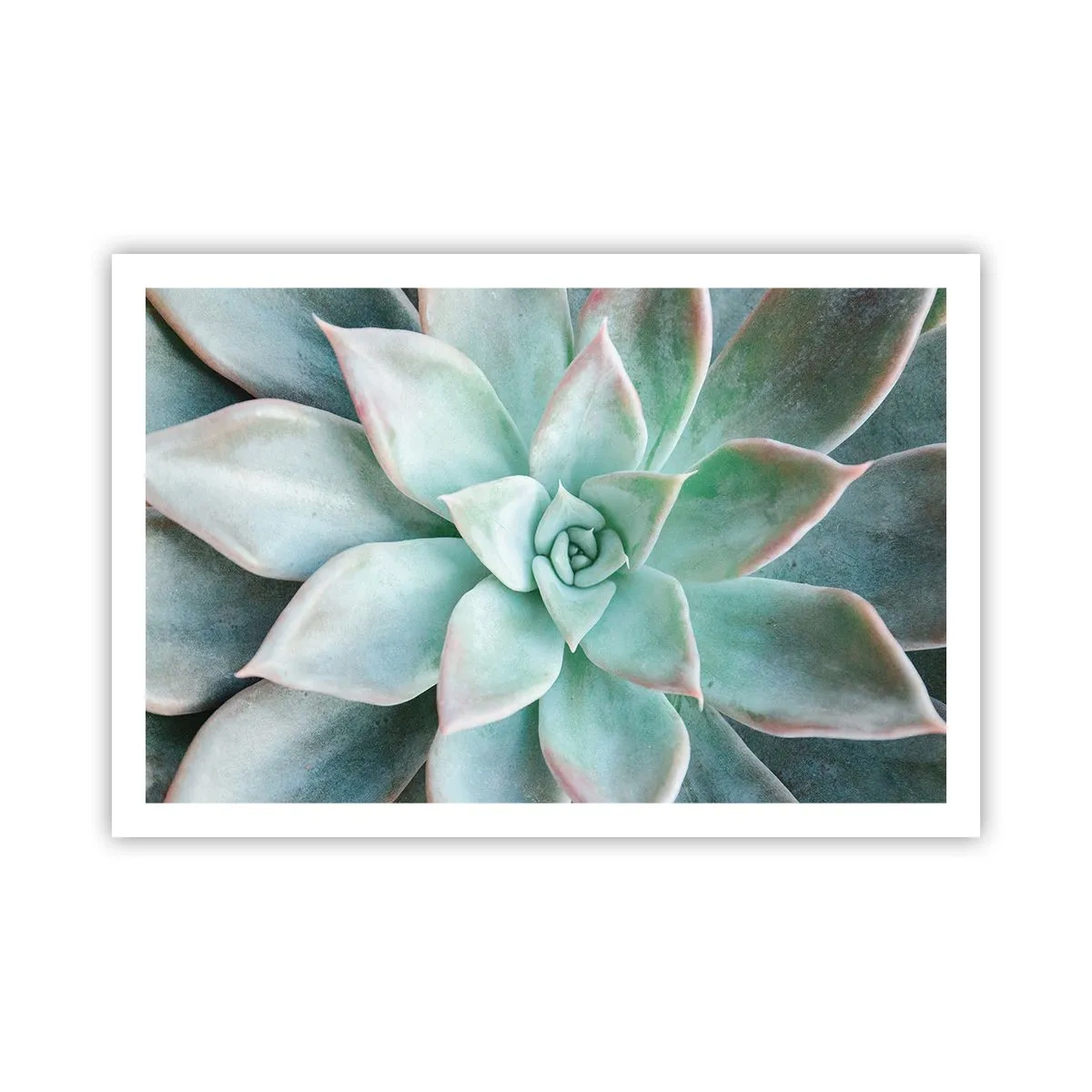 Poster - Heart of a Desert - 91x61 cm