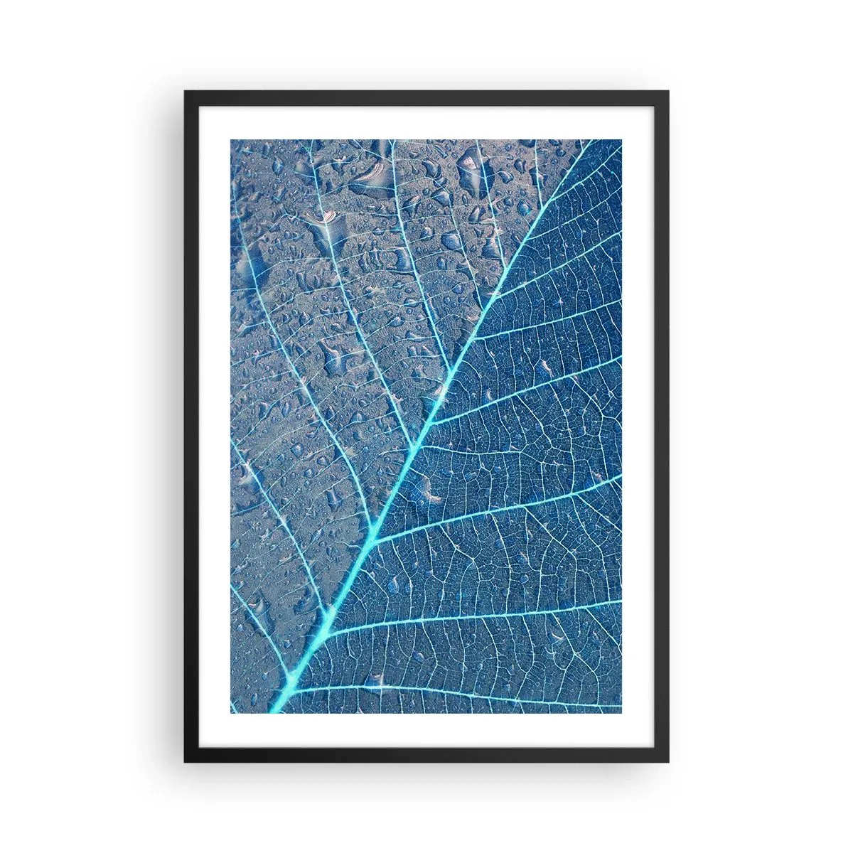 Poster in black frame - Close-up of a leaf in shades of blue - 50x70cm - Life in the Blue - Modern wall decoration for the living room and bedroom ARTTOR