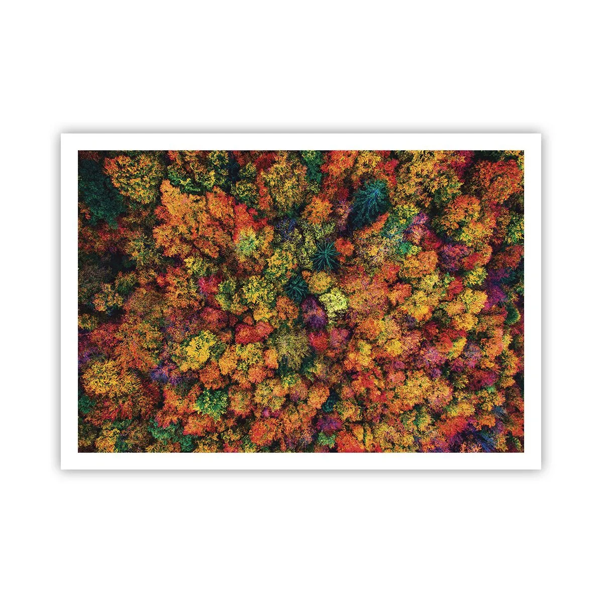 Poster - Bouquet of Autumn Flowers - 100x70 cm