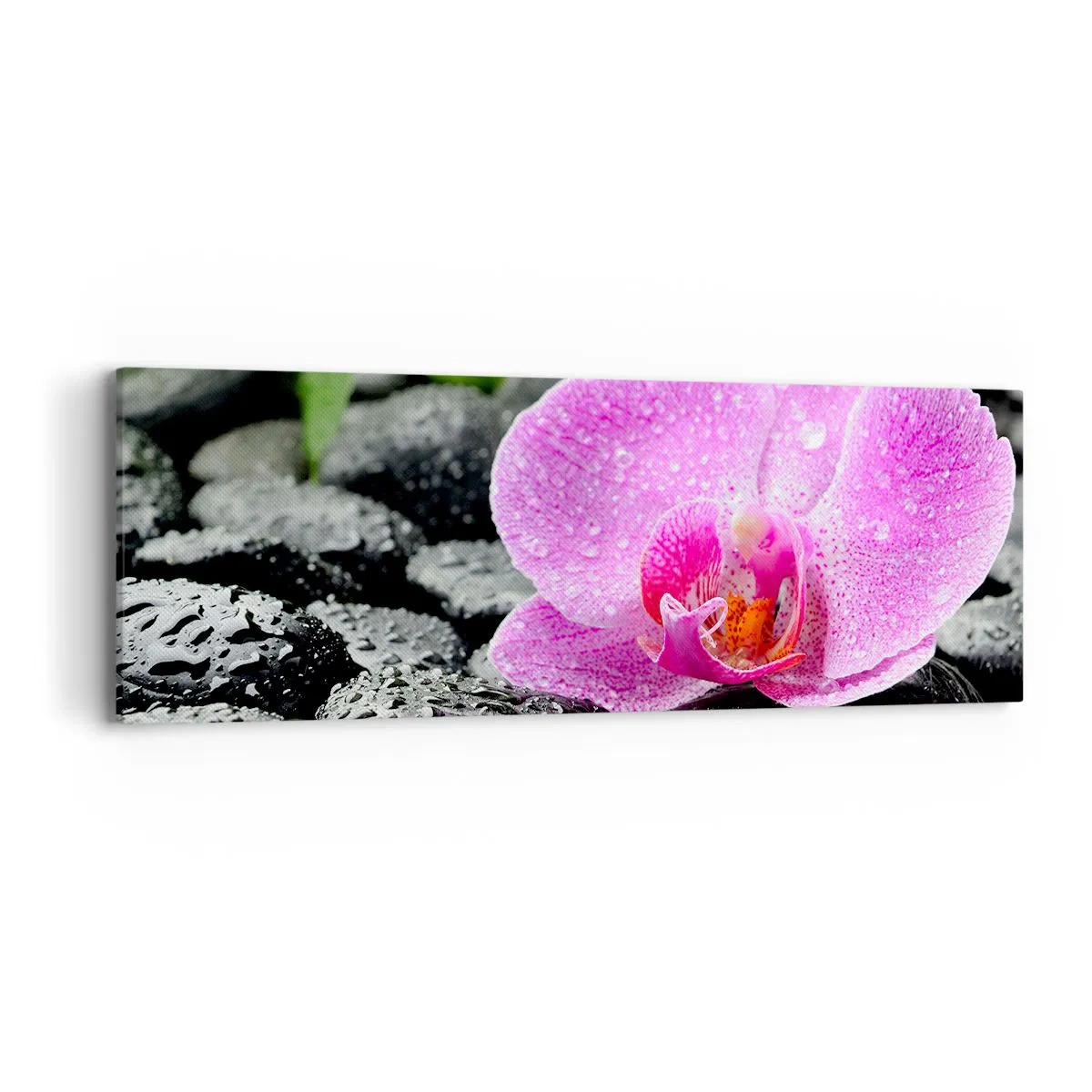 Canvas picture - Like an Open Heart - 90x30 cm