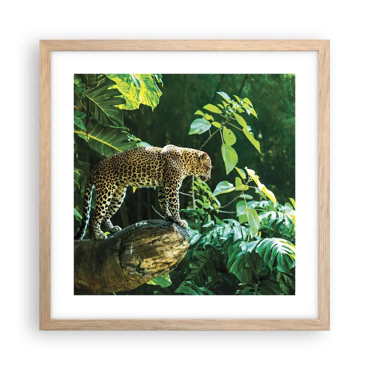 Poster in light oak frame - Going Hunting? - 40x40 cm
