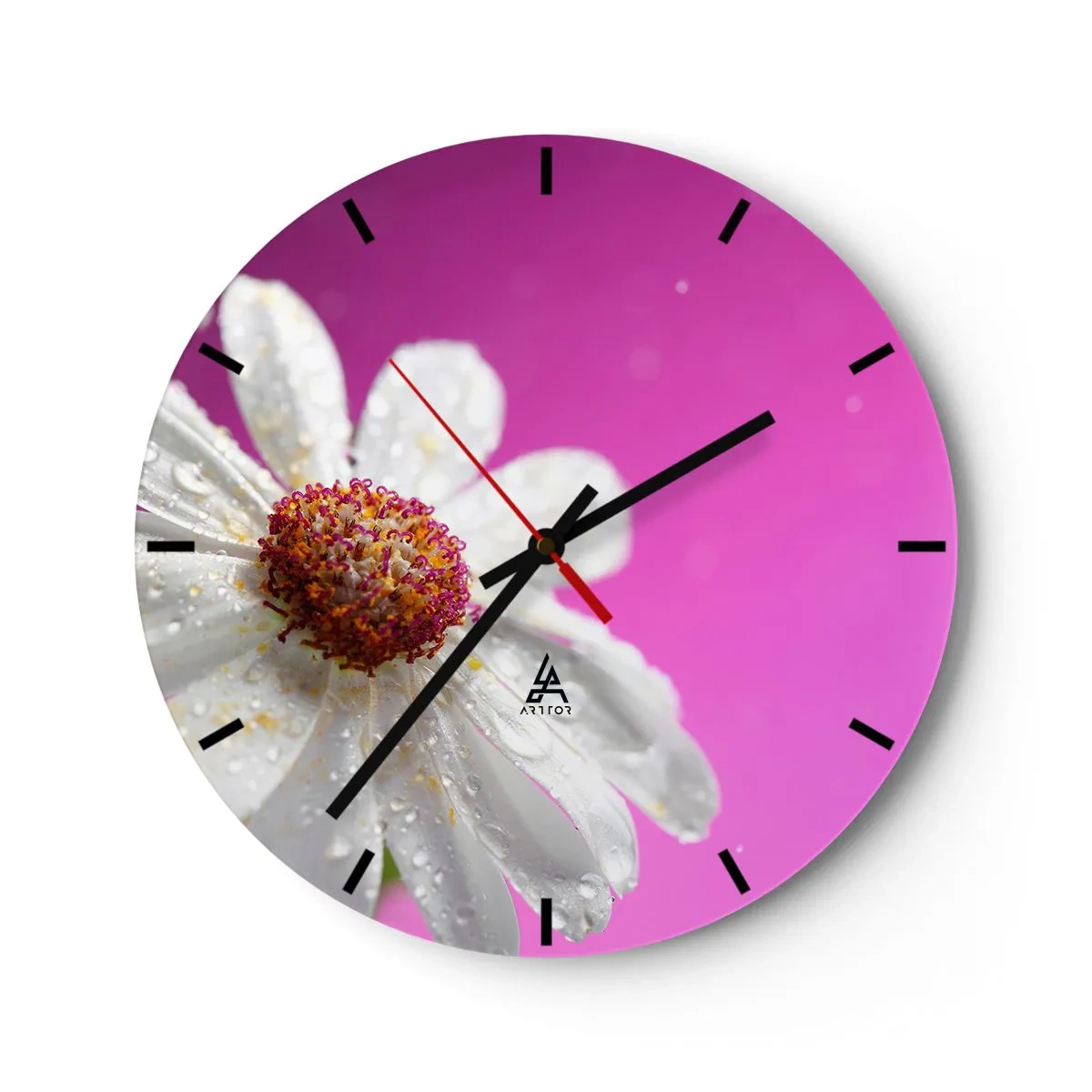 Wall clock - Clock on glass - A white daisy covered with water drops on a pink background - 30x30cm - Modest in Its Beauty - Modern wall decoration for the living room, kitchen, and bedroom ARTTOR