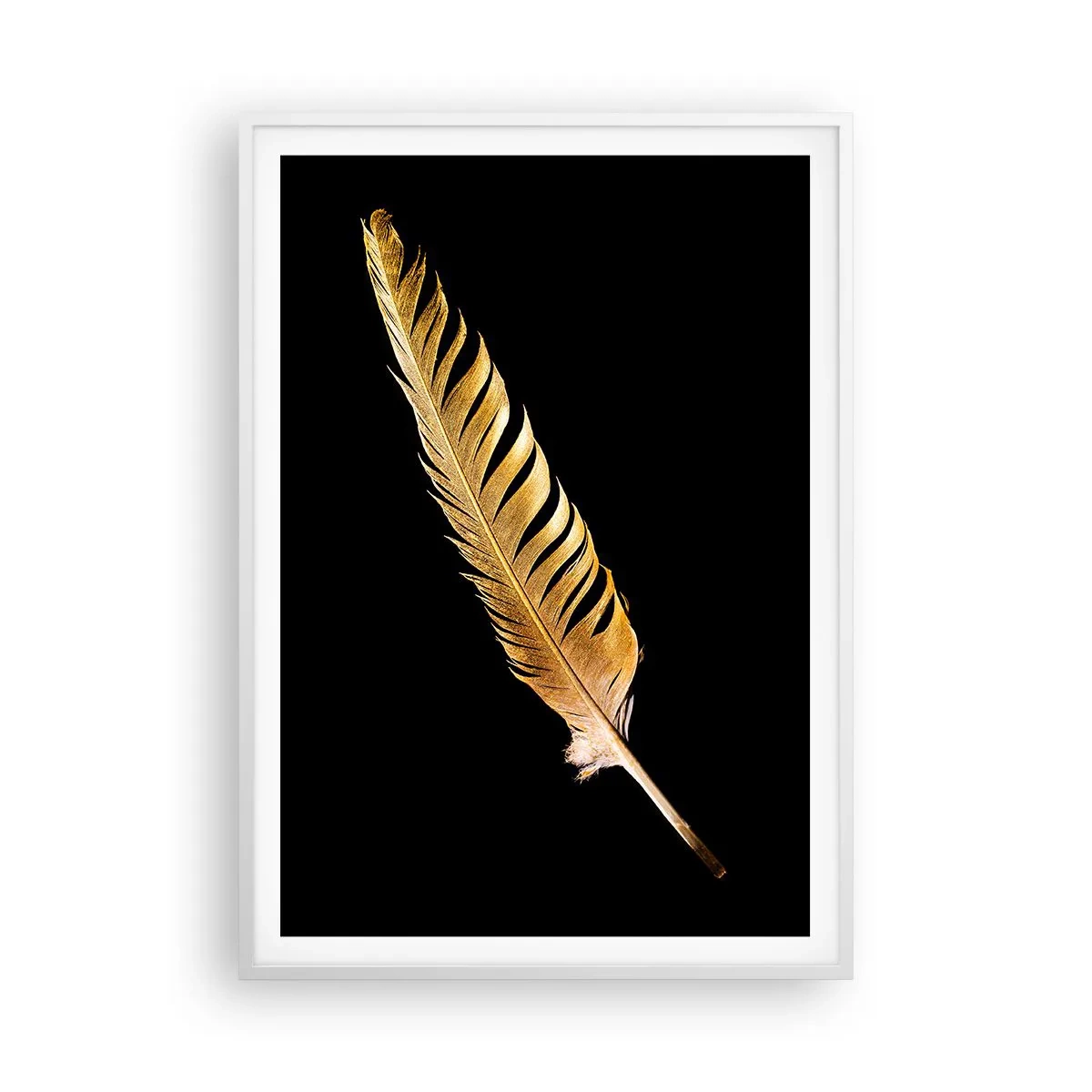 Poster in white frmae - High-Class Feather - 70x100 cm