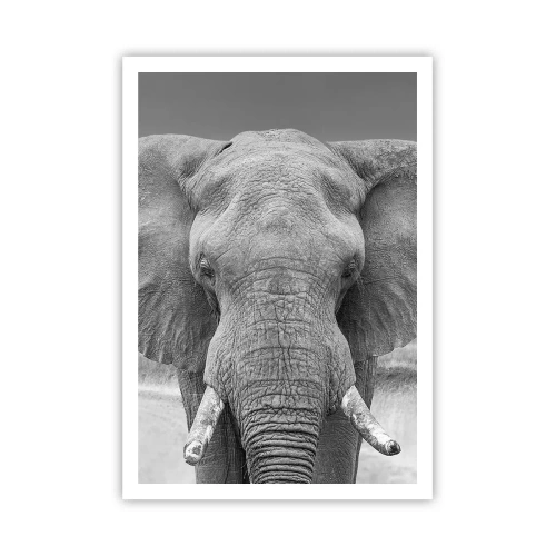 Poster - Welcome to My World - 70x100 cm