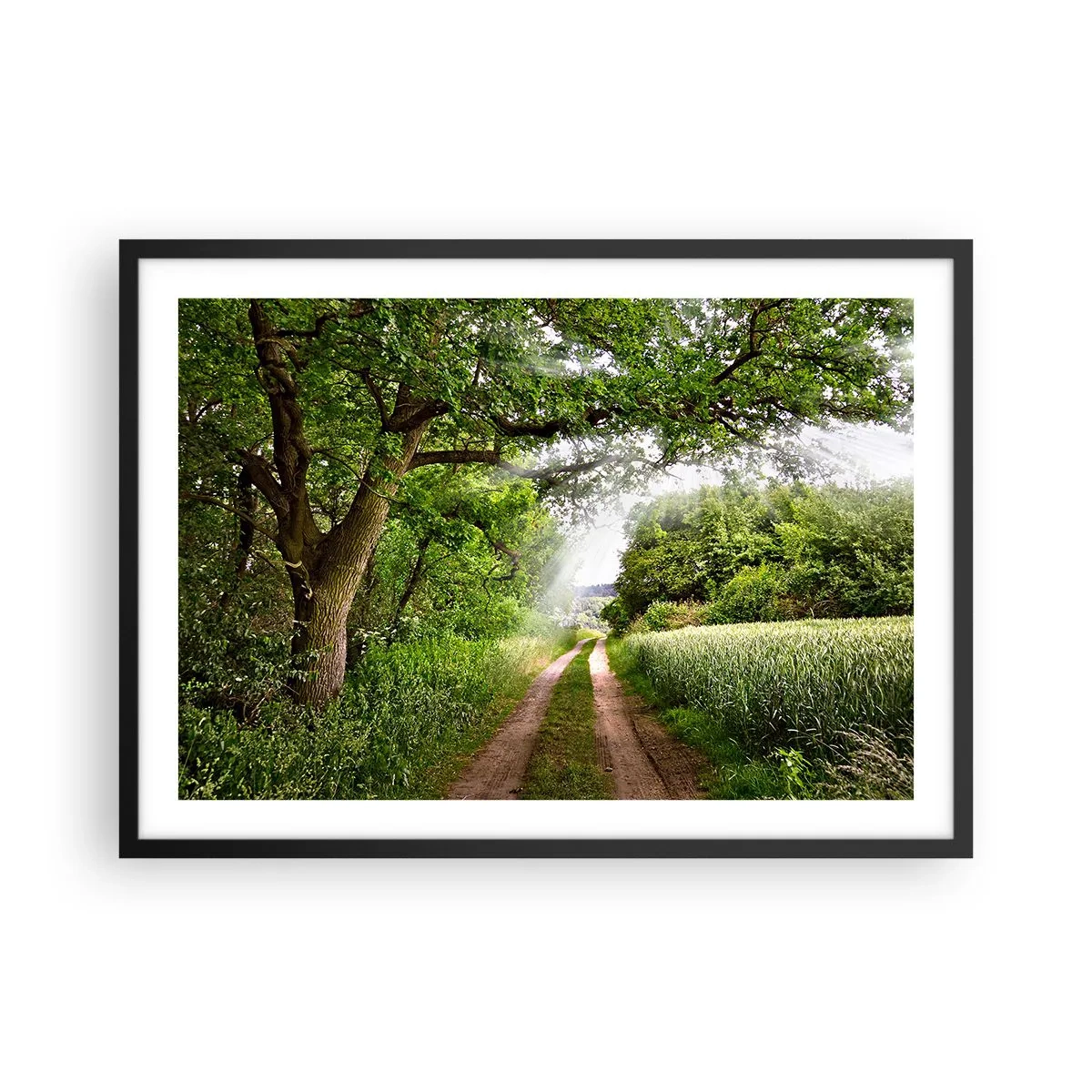 Poster in black frame - Et in Arcadia Ego - 70x50 cm