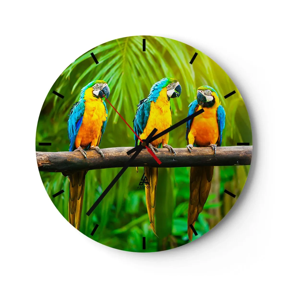 Wall clock - Clock on glass - Three macaw parrots on a branch in a tropical setting - 30x30cm - Did You Hear that She…? - Modern wall decoration for the living room, kitchen, and bedroom ARTTOR