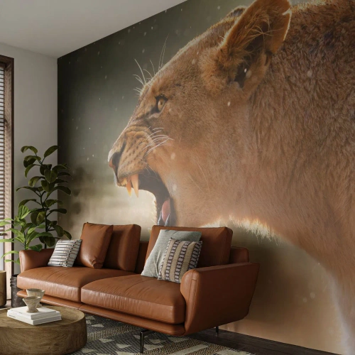 Photo Wallpaper Premium Sand - Try Not to Listen - Animals, Lion, Africa - 100x70 cm
