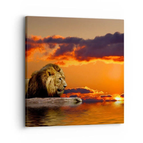 Canvas picture - The King of Nature - 30x30 cm