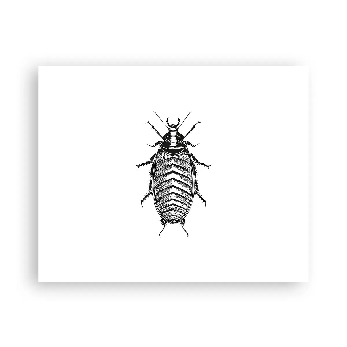 Poster - What a Specimen - 50x40 cm