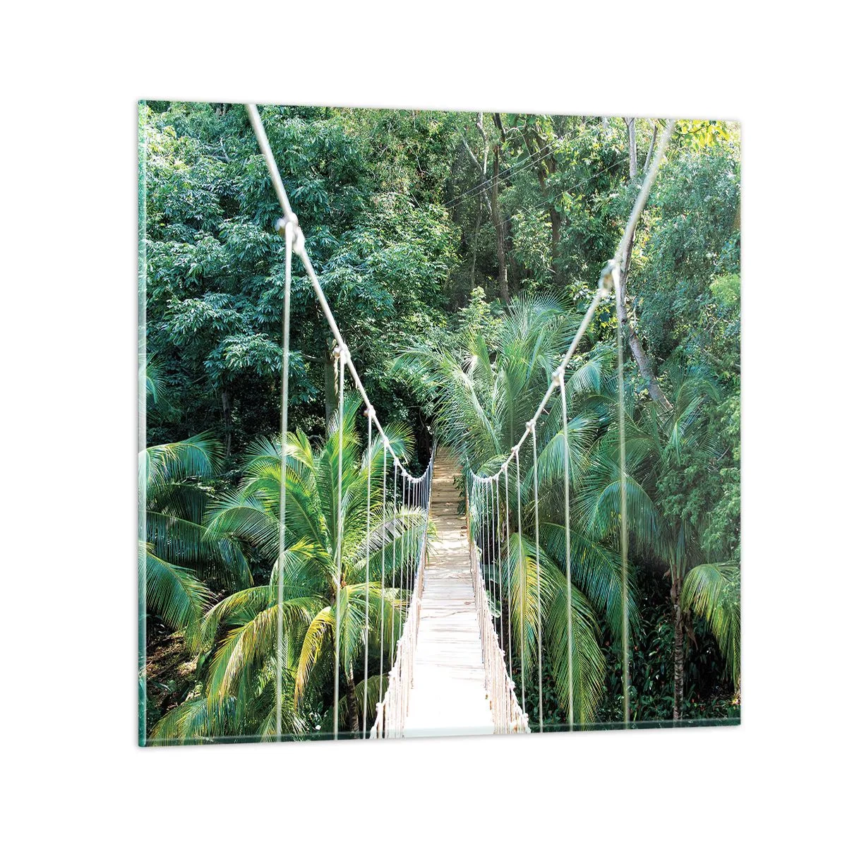 Glass picture - Welcome to the Jungle! - 70x70 cm