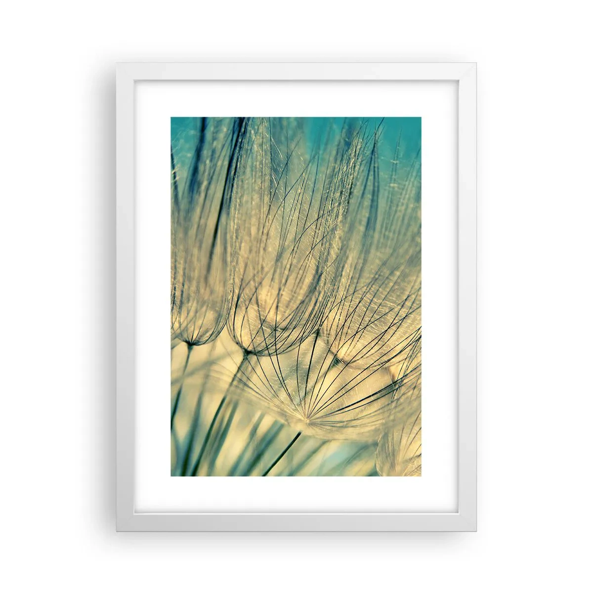 Poster in white frmae - Waiting for the Wind - 30x40 cm