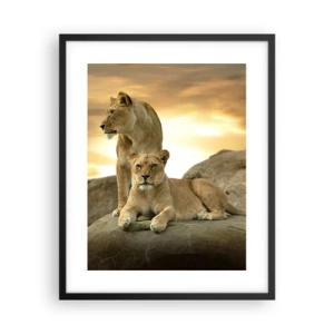 Poster in black frame - Royal Majesty - 40x50 cm