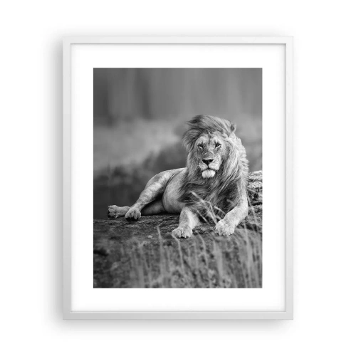 Poster in white frmae - Royal Siesta - 40x50 cm