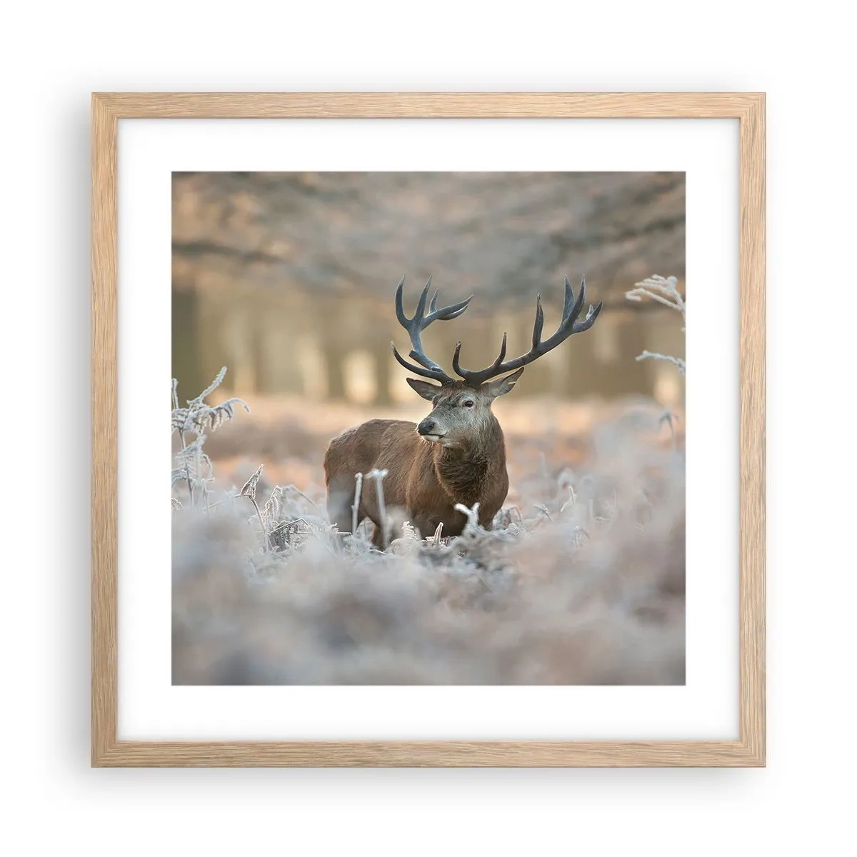 Poster in light oak frame - Chilly Morning - 40x40 cm