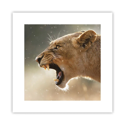 Poster - Try Not to Listen - 30x30 cm