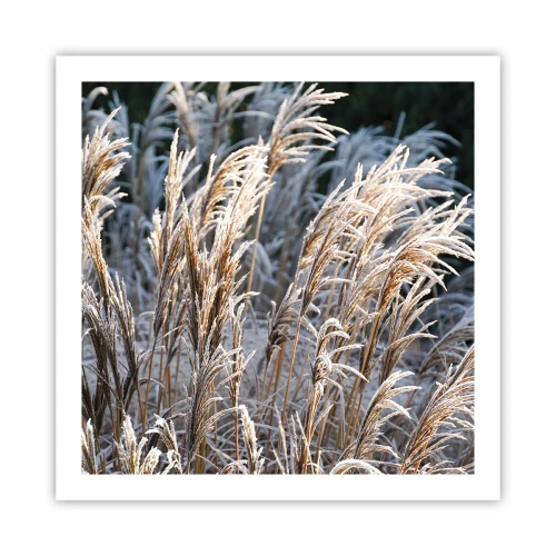 Poster - Decorated with Frost - 60x60 cm
