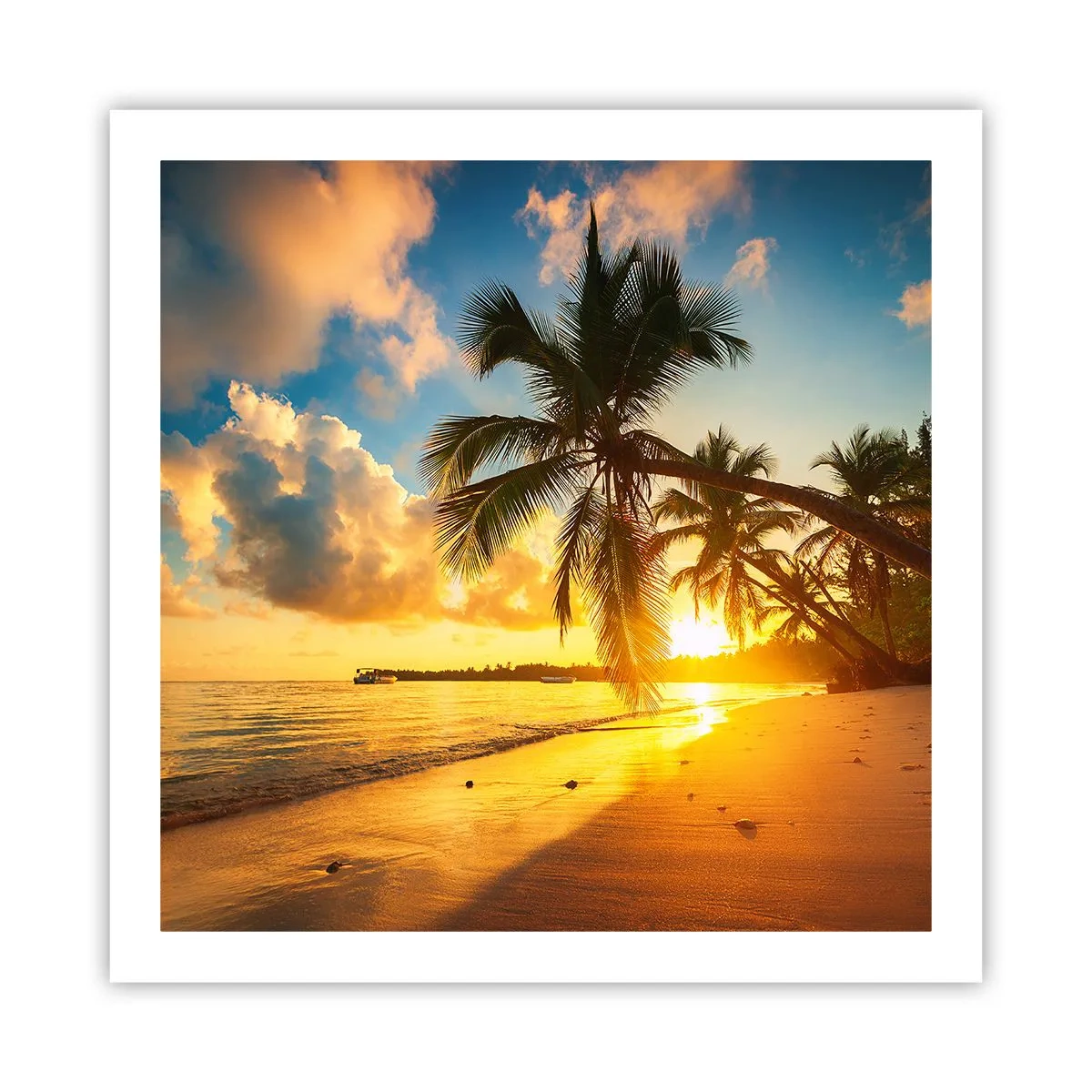 Poster - Caribbean Dream - 60x60 cm