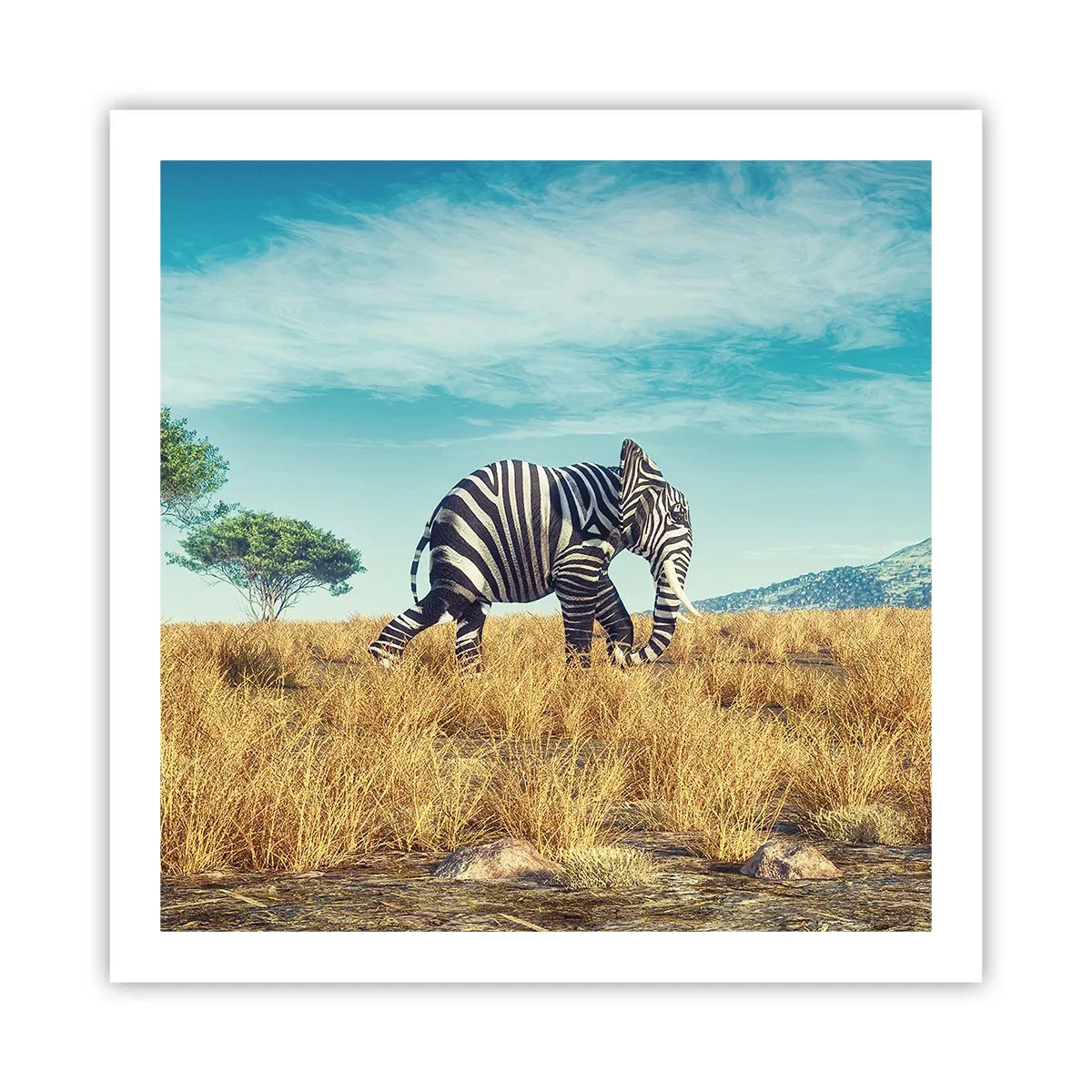 Poster - Greyness Is Not In Fashion - 60x60 cm