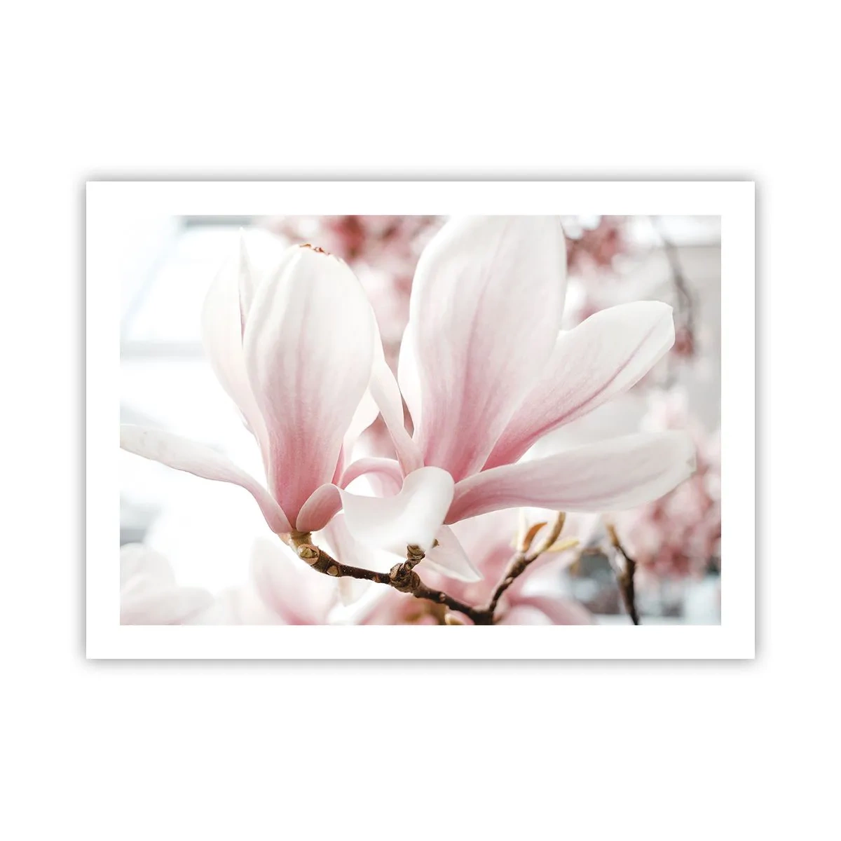 Poster - Immensity of Tenderness - 70x50 cm