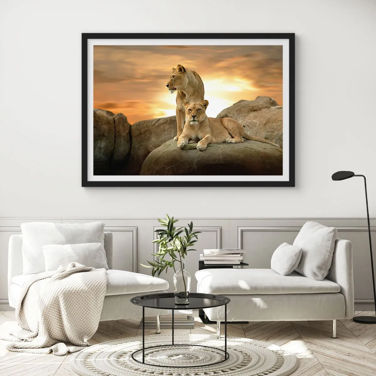 Poster in black frame - Royal Majesty - 50x40 cm