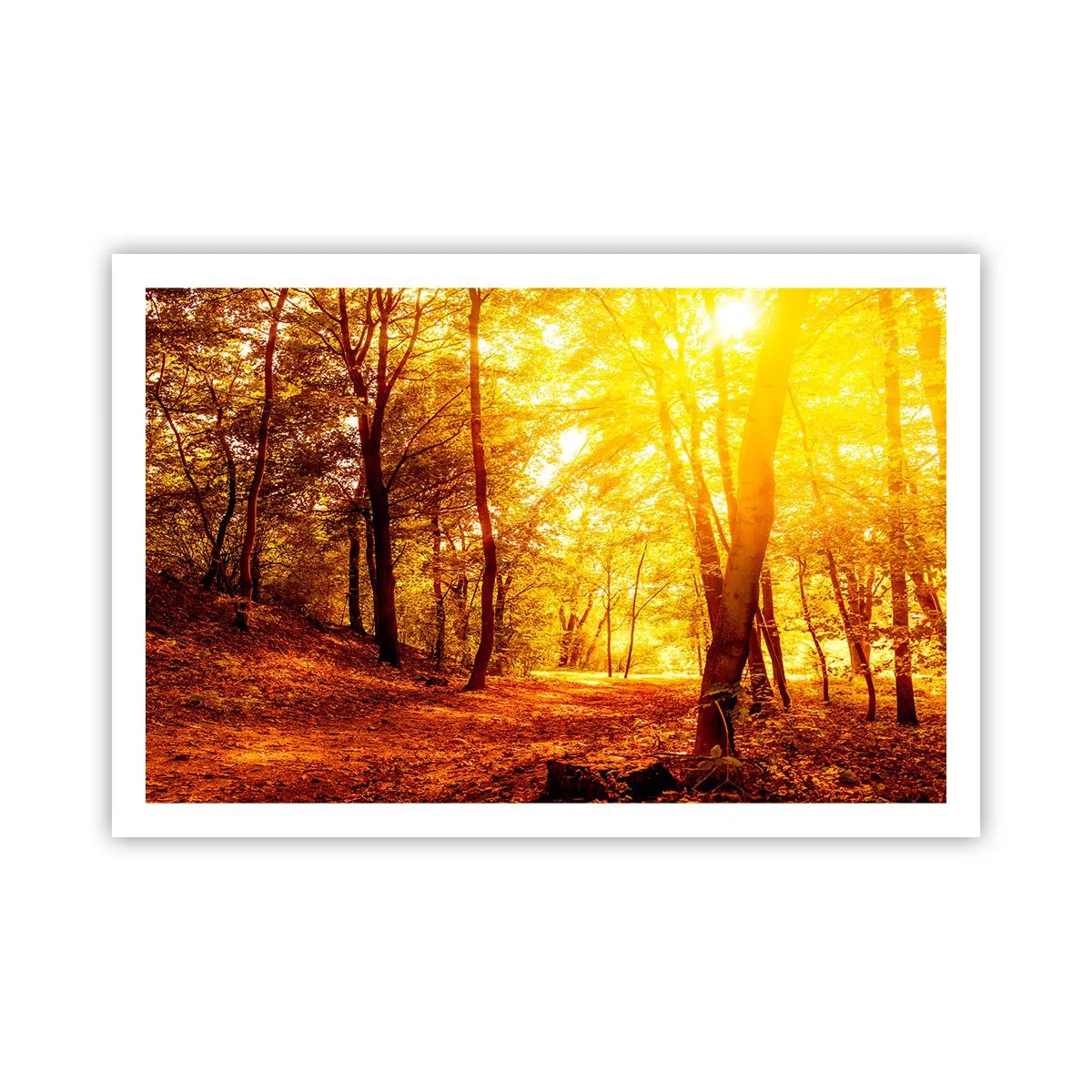 Poster - Towards Golden Plain - 91x61 cm