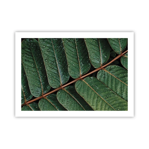 Poster - In Green Rhythm - 70x50 cm