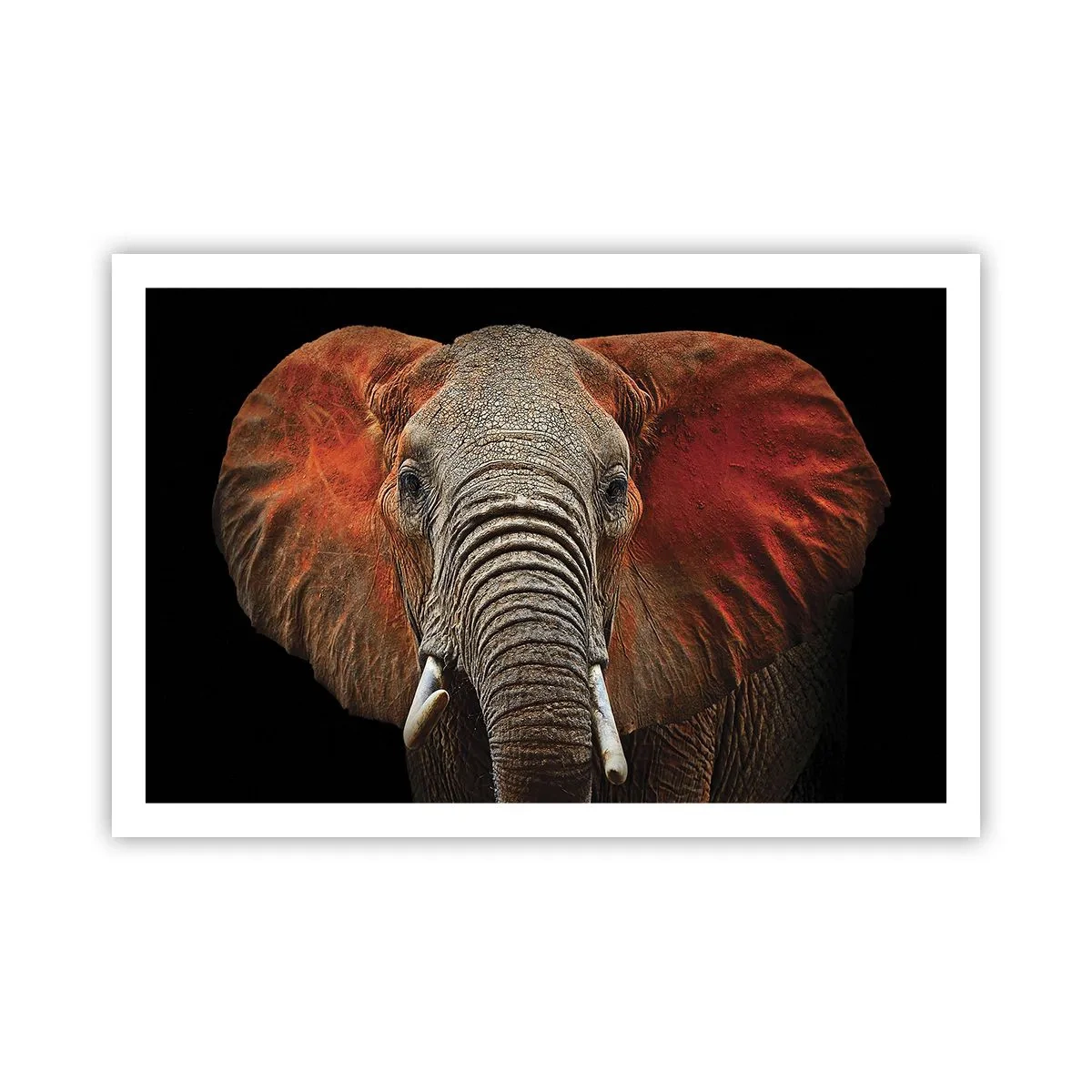 Poster - I am Wild, and You? - 91x61 cm