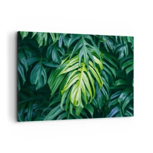 Canvas picture - Immerse Yourself in Freshness - 120x80 cm