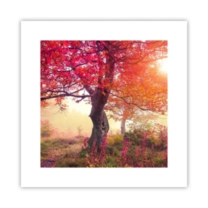 Poster - In Full Bloom - 30x30 cm