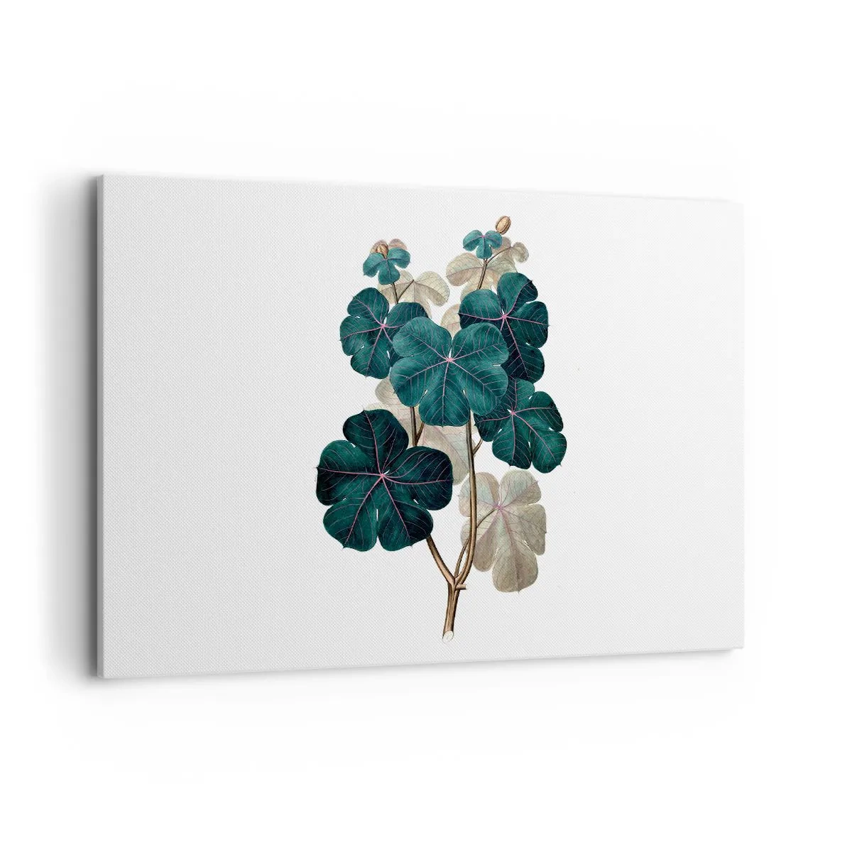 Canvas picture - From the Old Herbarium - 120x80 cm